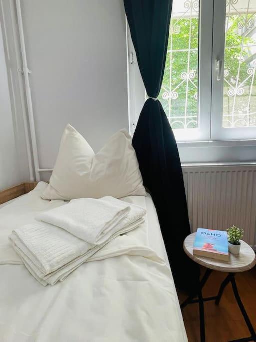 Chic Retreat Timisoaraアパートメント エクステリア 写真