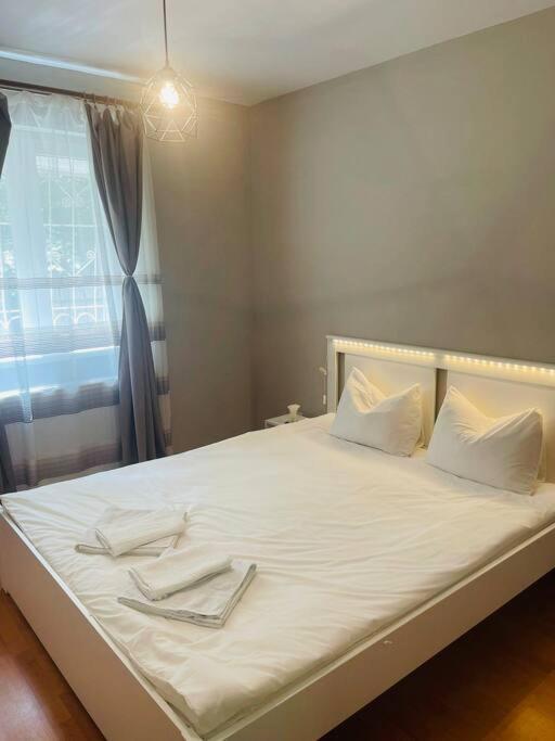 Chic Retreat Timisoaraアパートメント エクステリア 写真
