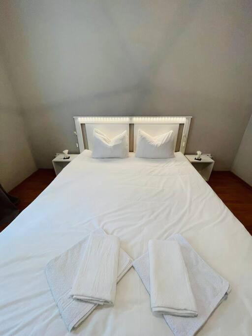 Chic Retreat Timisoaraアパートメント エクステリア 写真